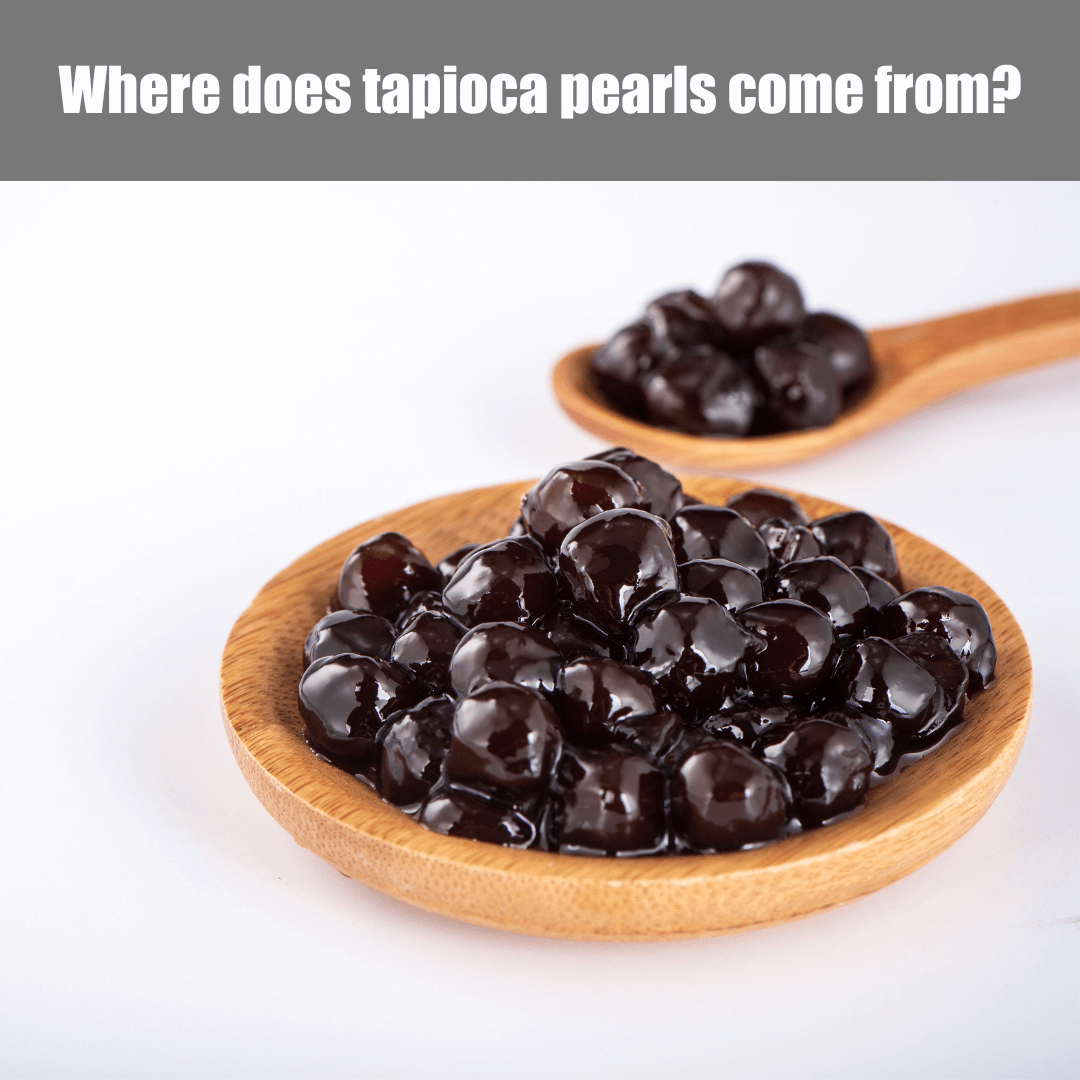 Where does tapioca pearls come from?